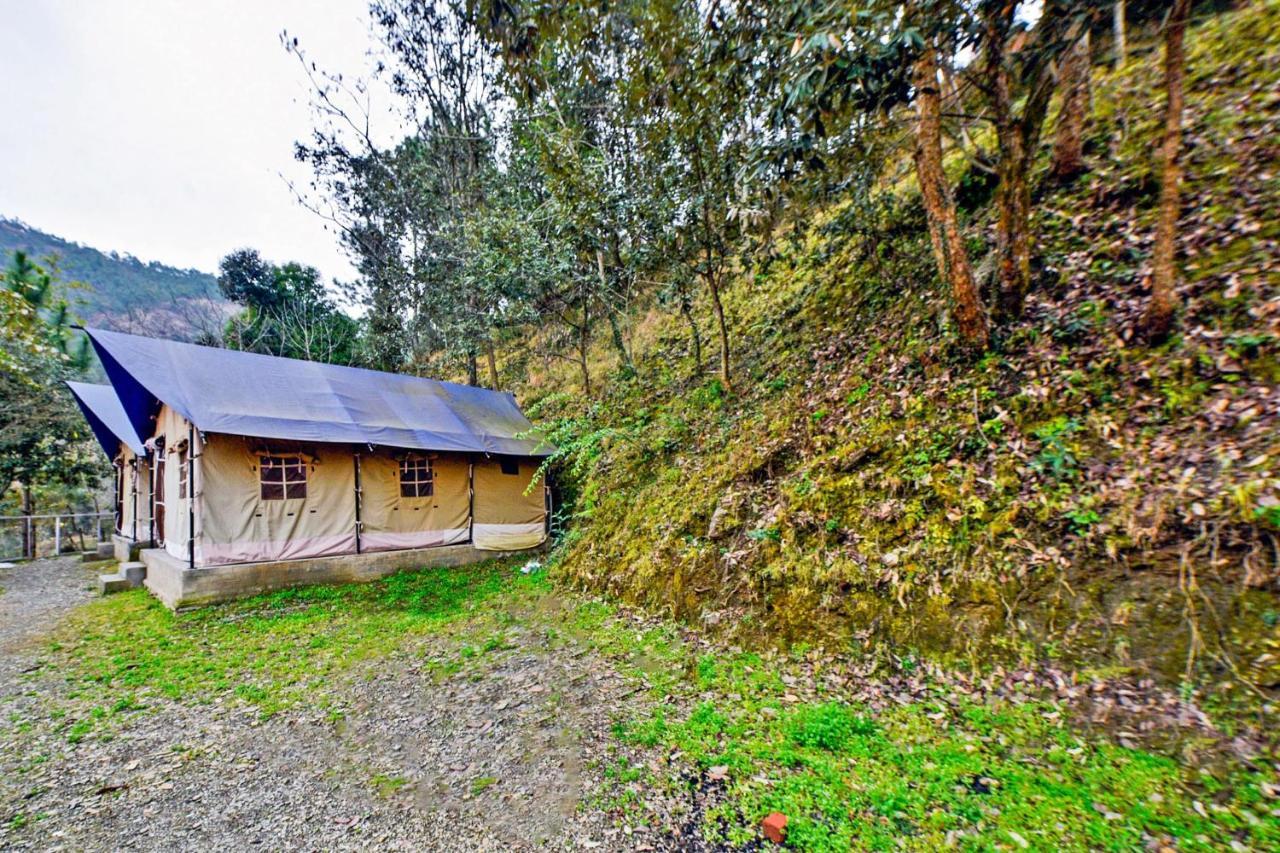 Oyo 29888 Nature Treat Hotel Chail Ngoại thất bức ảnh